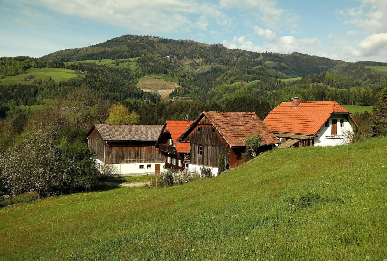 Ferienwohnungen Raczkowski Birkfeld Εξωτερικό φωτογραφία